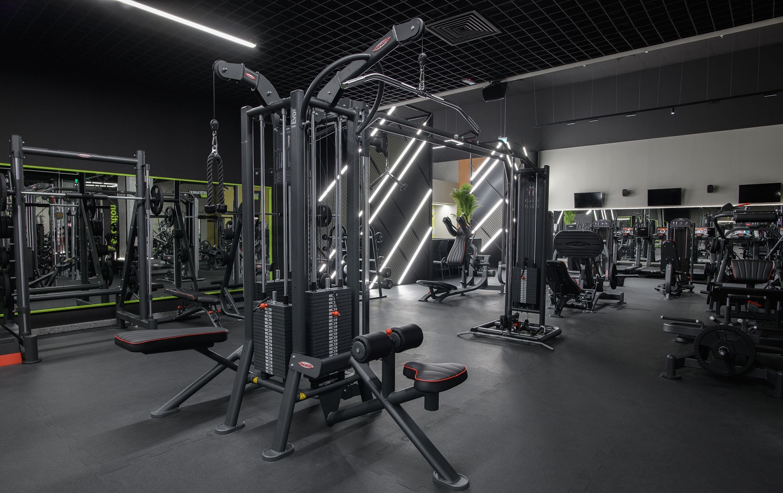 Evolution fitness